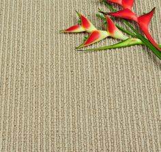 The 72 Best Beach House Style Images On Pinterest Cottages Wool Carpet Sisal Felted Beach Houses Carpets House Styles Rug Rugs Felt