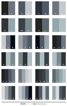 Orange Color Goes With Tone Schemes Black White Color Schemes