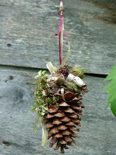 Natural Large Pine Cones for Crafts