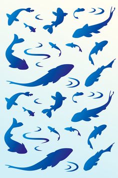 17 best fish silhouette