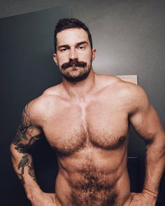 Furry Bear Fucks Buff Bears Ass