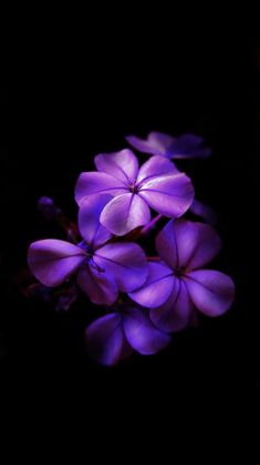 Amoled Wallpapers Hd 4k Amoled Backgrounds Apps On Google Play Amoled Wallpapers Hd 4k Amoled Backgrounds Apps On Google Play