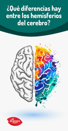 Las caries con en el cerebro se llaman