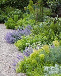 Simple Design Ideas Rose Garden Plans Flowers Simple Design Ideas Rose Garden Plans Flowers