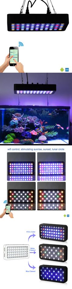 94 best lighting and