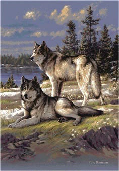 Wolves. … Дух Волка, Живопись С Волками, Волчак, Дикие Животные, Черные Волки, Оборотень, Картины Собак, Картины Животных, Рисунок Животных