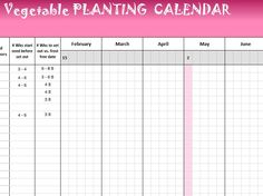 carpool scheduler downloadable template an organized carpool schedule template