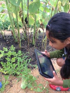 Image result for ipads in outdoor education