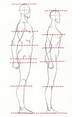 today s drawing class drawing the female body female proportions