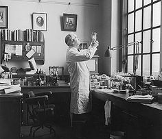 The british microbiologist alexander fleming in his office in ... British school fleming
