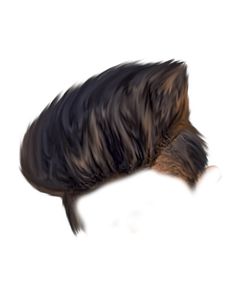 cut