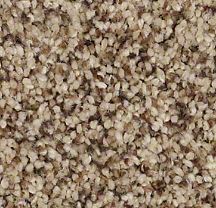 25 Best Carpet Images On Pinterest Colors Bat New Shaw Carpet Caress Lots Of Styles And Colors Including Loops Aug 2017 From Before Meets After