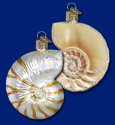 OWC Old World Christmas Glass Ornament Sand-Dollar Shell Handblown Ocean Seaside