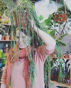hairy halloween veel meer woorden zijn er niet nodig toch rhipsalis paradoxa minor liefs de me house plants plants home trends