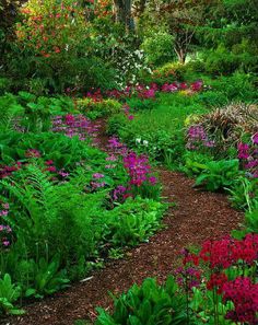 48 Best Garden Pachs Chips Wood Images In 2018 Path 10 Perfect Path Ideas