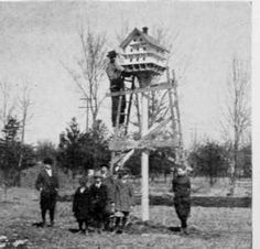 free purple martin house plan! | for the birds! | pinterest free purple martin house plan! | for the birds! | pinterest