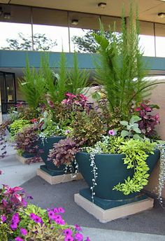 JeffCo Gardener Saving Soil When Planting Planters by Now that s a pot 30 Unique Garden Design Ideas Don t for to add height with tall plants and let some of the greenery spill over the edges
