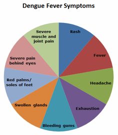 Best Information On Dengue Fever Images Dengue Fever Mortality Chart Showing Symptoms Of Dengue Fever Dengue Fever Blood Test Environmental Health Write Annotated Bibliography Websites also Pay Someone To Do My Assignment Essay Topics High School