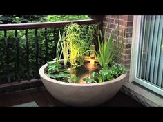 Patio Pond Ideas diy water gardens anyone can make with easy tutorials | patio pond Patio Pond Ideas diy water gardens anyone can make with easy tutorials | patio pond