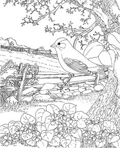 24 Free Leopard Coloring Pages To Print Online