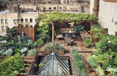 20 Ideas De Agroecología Seguimiento Dieta De Proteinas Vitaminas Para El Cerebro Pedagogía Del Arte