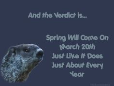 groundhog memes groundhog memes next image groundhog day 1d68cda674c29171ece87ecfe99c23ec groundhog pictures backgrounds for desktop groundhog memes groundhog memes next image groundhog day,Funny Groundhog Meme