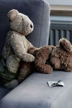 Remarkable, the Women having sex with a teddy bear Seems Women having sex with a teddy bear your place