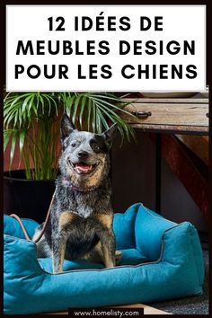 Australian Cattle-Personnalisé Nom Laisse pour Chien Porte-Mur Crochet
