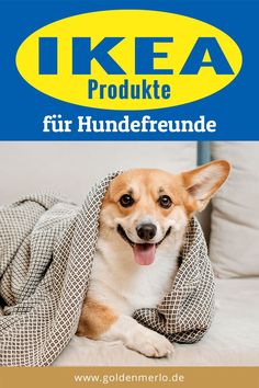 Die 200+ besten Bilder zu Produkte und Zubehör für den Hund Hunde Ikea, Spielzeug günstig gebraucht kaufen in Baden