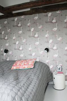 36 Best Flamingo Wallpaper Images In 2019