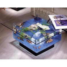 spectacular aquariums, personalizing interior design with colorful spectacular aquariums, personalizing interior design with colorful