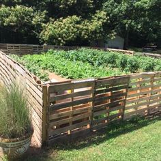 572 best pallet fences
