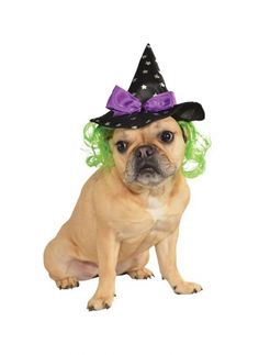 Funny Zelda Wisdom Lifeguard Swimsuit Dog Pet Costume Halloween Life Guard Red