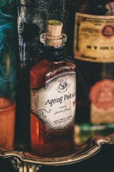 Harry potter potions book diy