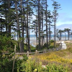 29 Best Seabrook The Washington Coast Images On Pinterest The Shingled Beach Cottages In Seabrook Washington Make For A Salty Getaway Bliss Living