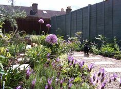 long narrow plot make over greenwood landscapes offers a complete garden service from full design to construction and planting to maintenance - Garden Design Long Narrow Plot long narrow plot make over greenwood landscapes offers a complete garden service from full design to construction and planting to maintenance - Garden Design Long Narrow Plot