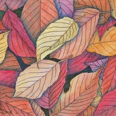 samples of a comparison essay exploratory