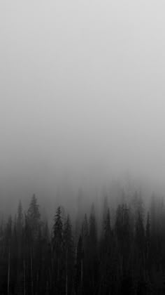 120 best black and white iphone wallpapers images background