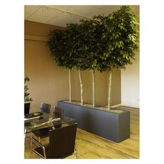 Creating An Office Divider Using Artificial Bamboo Decorating How About This As A Very Diffe Office Or Restaurant Divider An Artificial Pleached Hedge