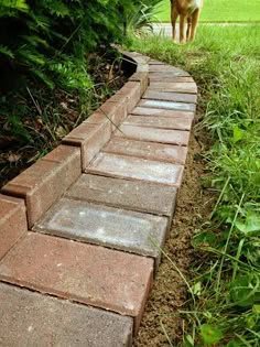 Over on Dover - Laying a paver border read one lady's experience with this project...looks much better to have both rows in stead of singular Lawn Edging, Easy Landscaping, Brick Garden Edging, Brick Garden