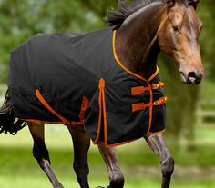 59 Best Horse Rugs Images On Pinterest Horses And 3 Ed Horse Blankets Available From Robinsons Equestrian
