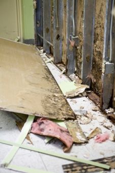 Black Mold Remediation Cost Can Vary From The Low End Of 500 And Black Mold Remediation Cost Can Vary From The Low End Of 500 And Upwards 4 5 000 Depending On What Type Needs Removal Most Homeowners Call