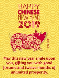 Happy Chinese New Year 2019. May this new year smile upon you, gifting you with good fortune and twelve months of unlimited prosperity. Oriental, Safari, Pandas, New Year Greetings