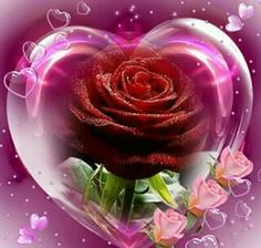 343 best hearts and