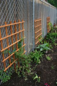 Garden Ideas To Hide Fence outdoor privacy ideas to hide ugly views and nosy neighbors: fence Garden Ideas To Hide Fence outdoor privacy ideas to hide ugly views and nosy neighbors: fence