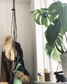 min dotter dating en svart pojke