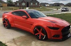 Red muscle likes taut wazoo