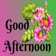 245 best good afternoon
