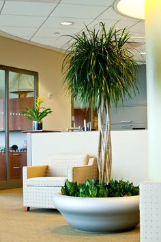 interior landscaping office indoor its time to start thinking outside of the box for your office space johnmini 70 best interior landscape inspiration images on pinterest in 2018 interior landscaping office indoor its time to start thinking outside of the box for your office space johnmini 70 best interior landscape inspiration images on pinterest in 2018