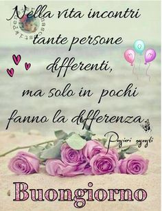 Incontri Daisy Folgen